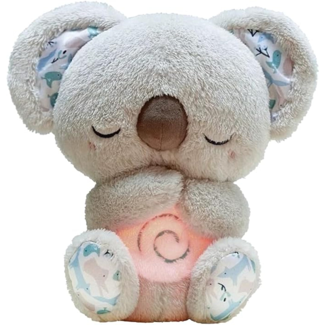 Koala Gris